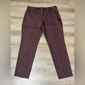 Express Dress Pants